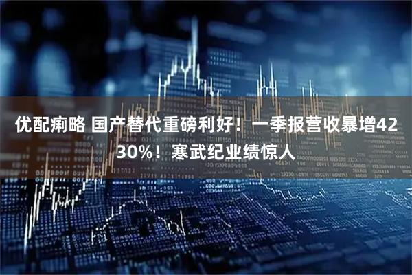 优配痢略 国产替代重磅利好！一季报营收暴增4230%！寒武纪业绩惊人