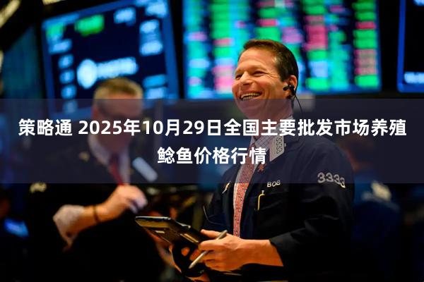 策略通 2025年10月29日全国主要批发市场养殖鲶鱼价格行情