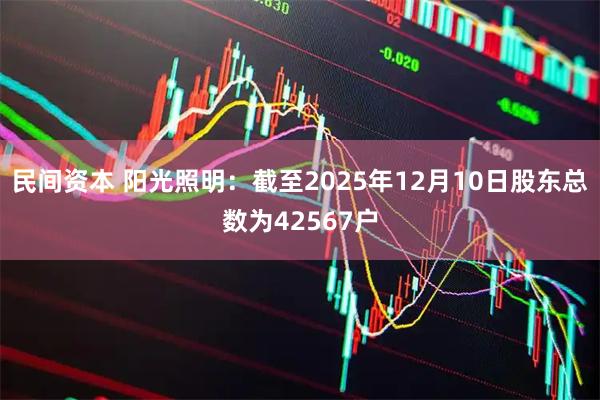 民间资本 阳光照明：截至2025年12月10日股东总数为42567户