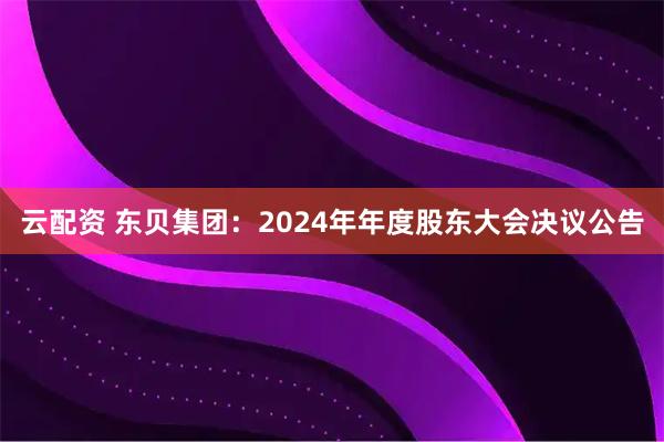 云配资 东贝集团：2024年年度股东大会决议公告