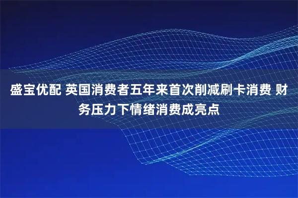 盛宝优配 英国消费者五年来首次削减刷卡消费 财务压力下情绪消费成亮点
